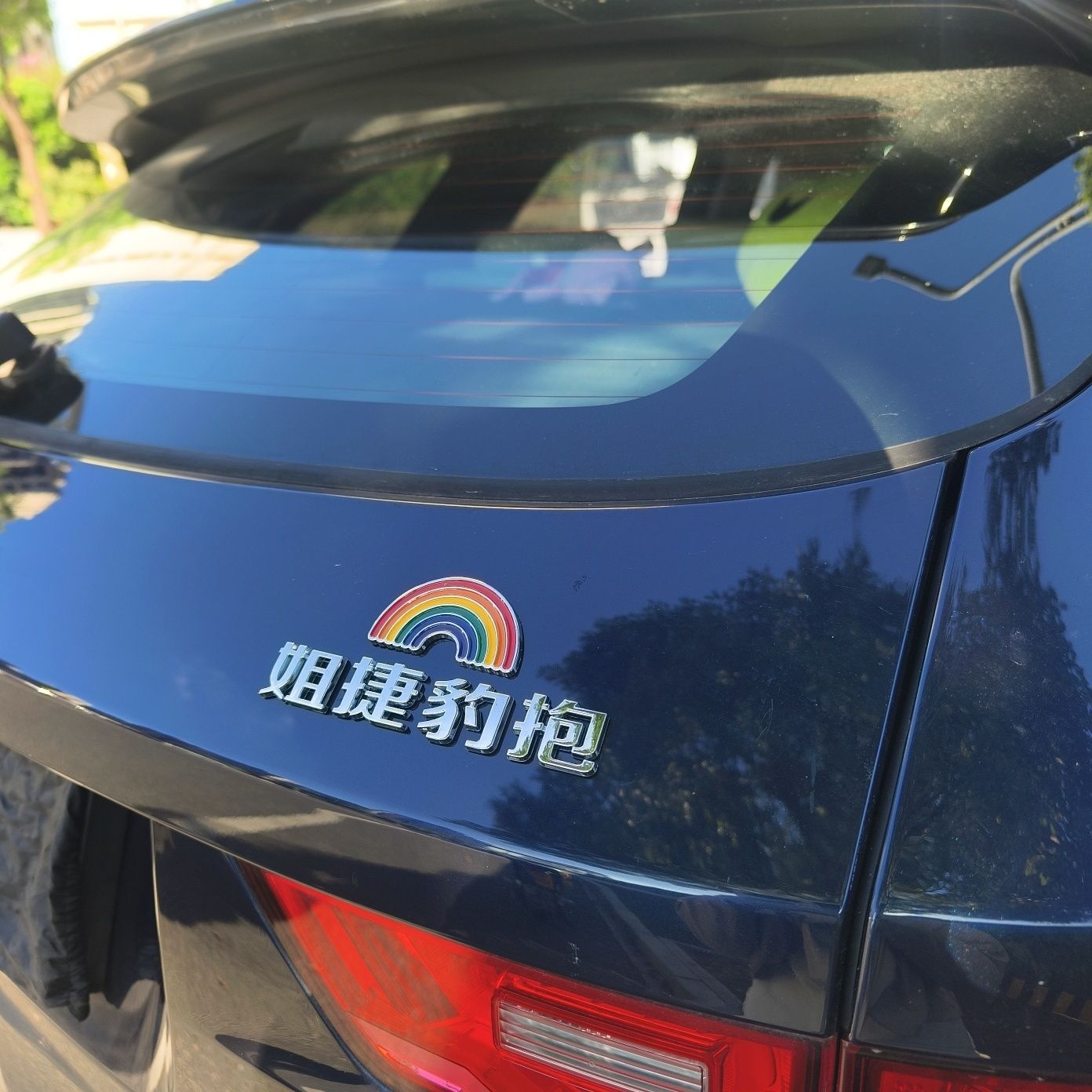 姐捷豹抱豹豹巴士3D捷豹汽车标贴
