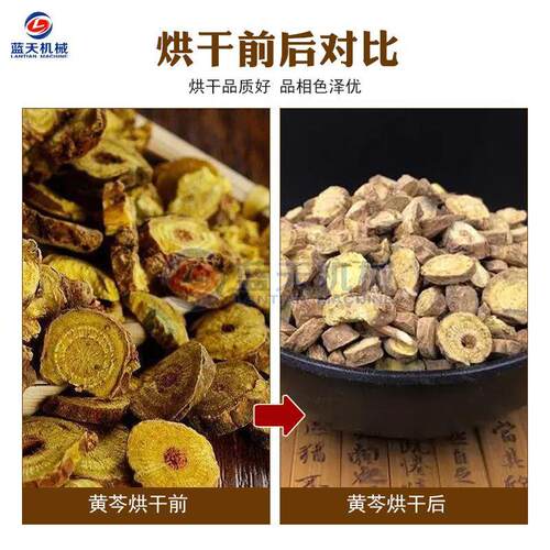 黄芩烘干备多层网带山茶片根切片芩黄荼干燥机设大型QXP黄芩烘干