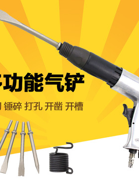 台湾欧维尔OW-220P针式铲式两用除锈器19针4铲尖气铲220mm气动凿