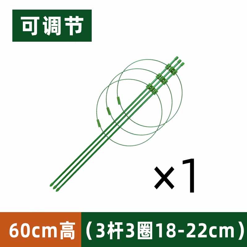 花架爬藤支架花盆园艺支柱月季铁线莲球H兰绿萝植物防倒攀爬支热