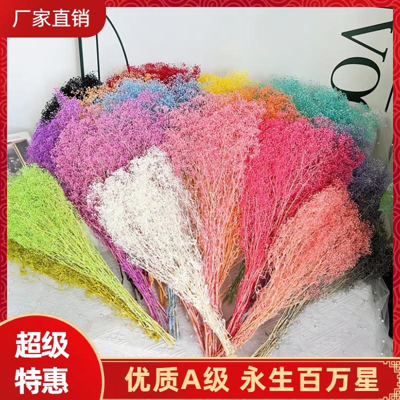 霞草永生花百万星千万星小满天星花束插花家居装饰diy材料干花材