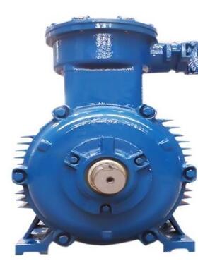 BT4江苏新大力防爆型三相异步电动机YBX3-355M2-6200W6电机