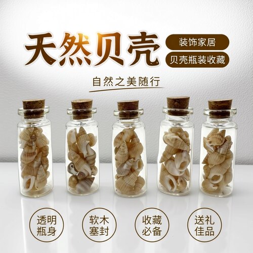 海螺许愿瓶幸运瓶海洋瓶 手工diy玻璃瓶 海边旅游留念送礼纪念品