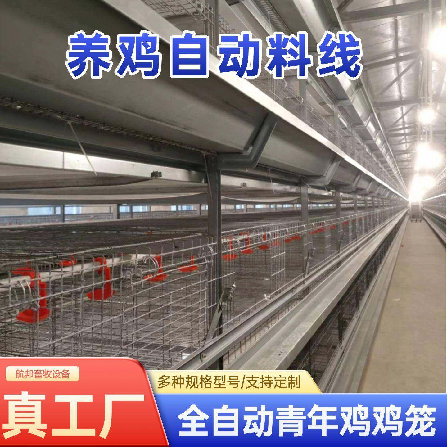 立式自动化养殖设备全自动框架养鸡笼鸡舍养鸡场层叠式H型鸽子笼,畜牧/养殖物资,特种养殖设备,淘宝优惠券,粉丝福利购,淘宝优惠卷