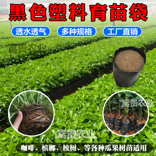 育苗袋育苗杯咖啡槟榔育苗袋黑色加厚大小号桉树种植袋树苗营养袋