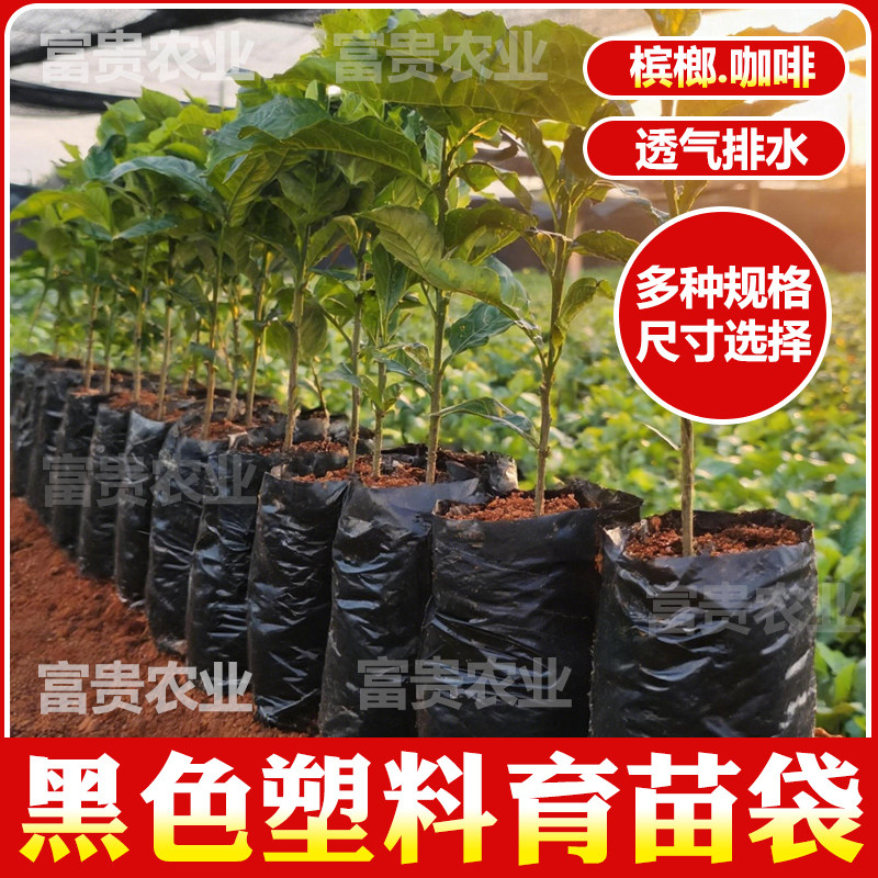 咖啡槟榔育苗袋黑色塑料育苗袋一次性百香果营养袋树苗瓜果种植袋