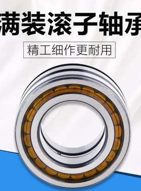 SL满装圆柱滚子轴承SL185004 185006 185009 185012PP进口轴承