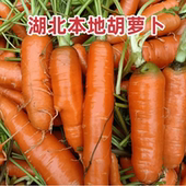 新鲜胡萝卜云南红萝卜蔬菜生吃水果带泥时令当季 种植农产品