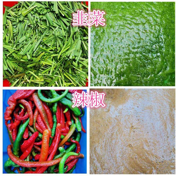 工业用各种瓜果打浆机软烂水果打泥浆机食品果蔬打浆机