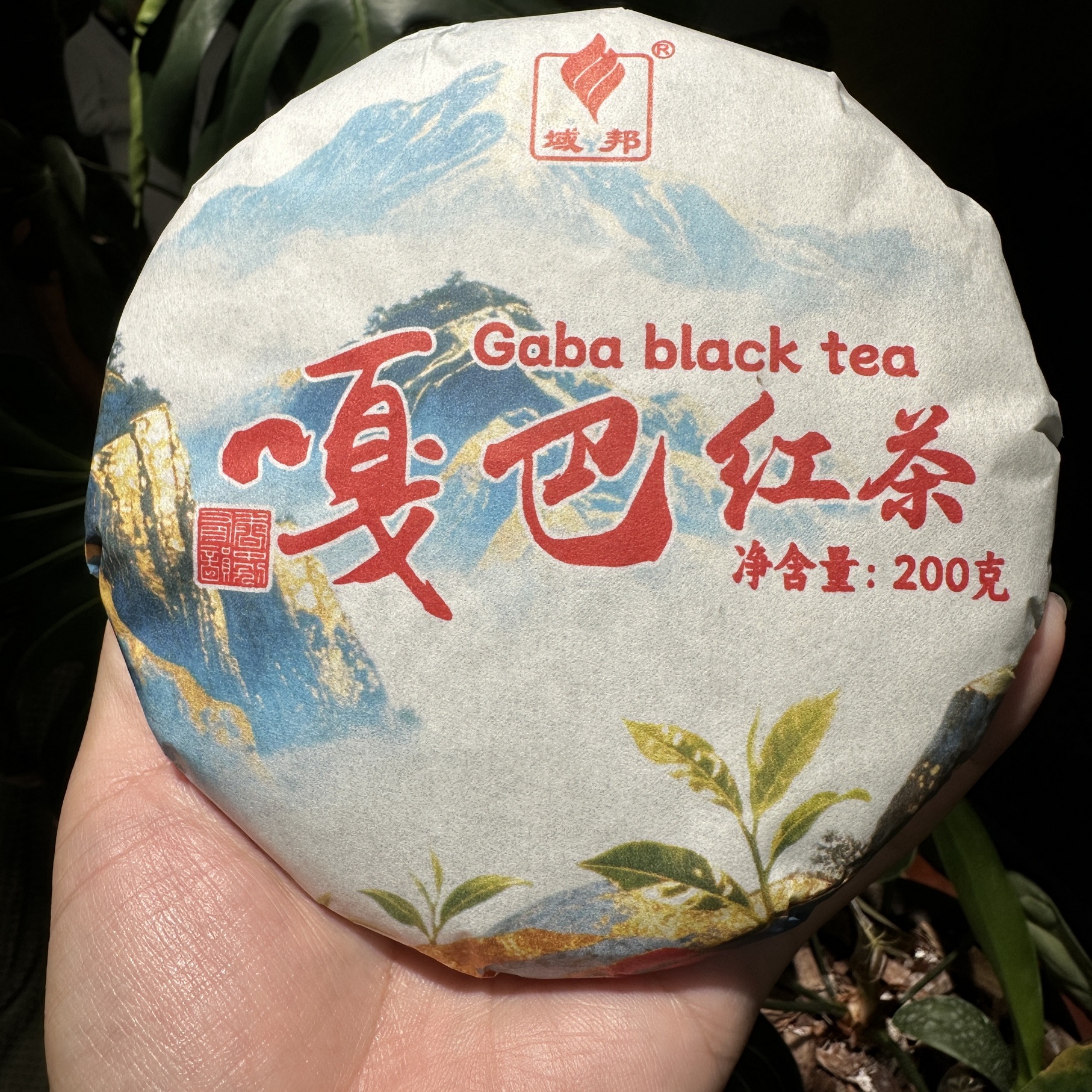 GABA红茶滇红200g饼茶