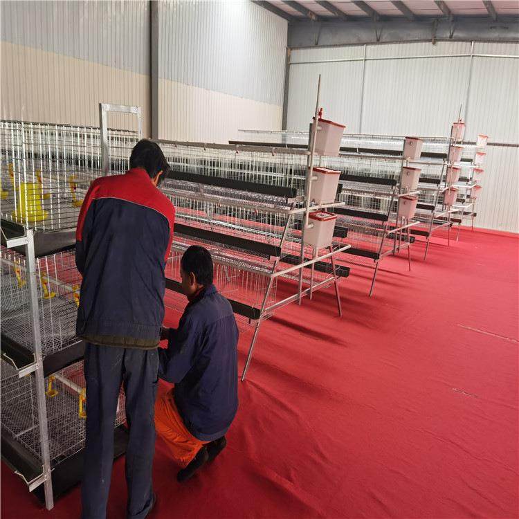 鸡笼框架蛋鸡养殖笼层叠养鸡笼阶梯式立体蛋鸡笼3层笼机械肉鸡,畜牧/养殖物资,特种养殖设备,淘宝优惠券,粉丝福利购,淘宝优惠卷