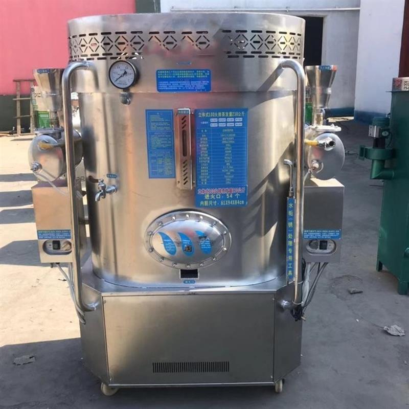 供应蒸玉米蒸馒头 煮豆浆 酿酒用蒸汽发生器商用液化气蒸汽机