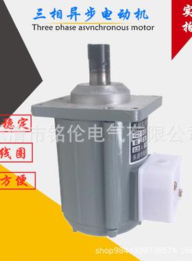 电力液压推动器电机 B062Z-II YDT60-2 60W 微型三相异步电动机