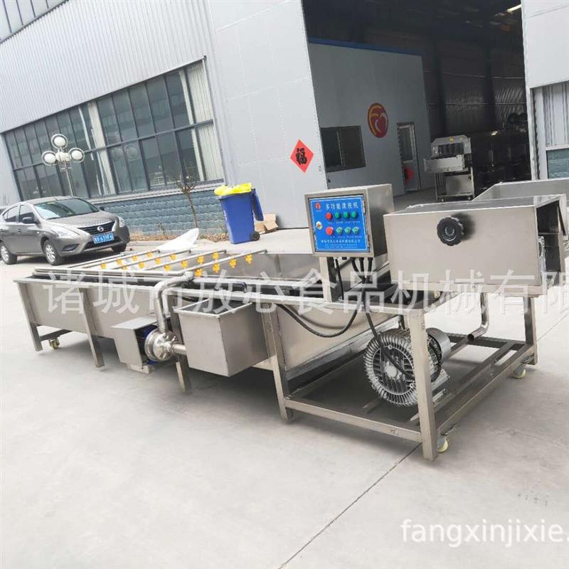 大蒜清洗机 全自动蔬菜清洗机 多功能商用果蔬清洗机厂家