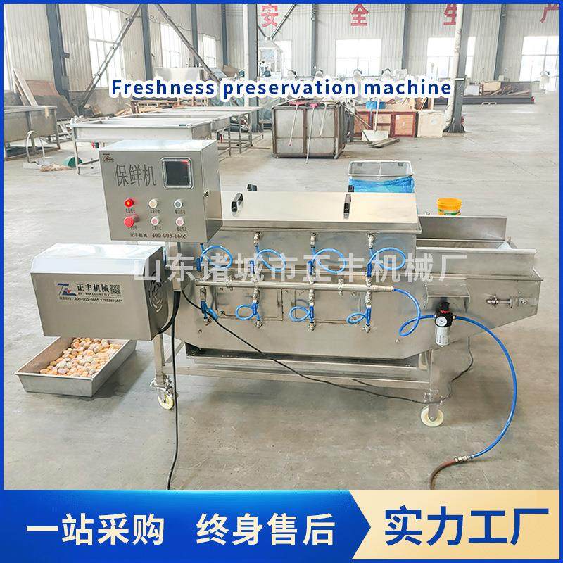 火锅丸子挂冰机 鱼段挂冰保鲜机 鱼龙虾尾包冰 速冻鱿刀圈冰衣机,清洗/食品/商业设备,煮面机/煮面炉,淘宝优惠券,粉丝福利购,淘宝优惠卷