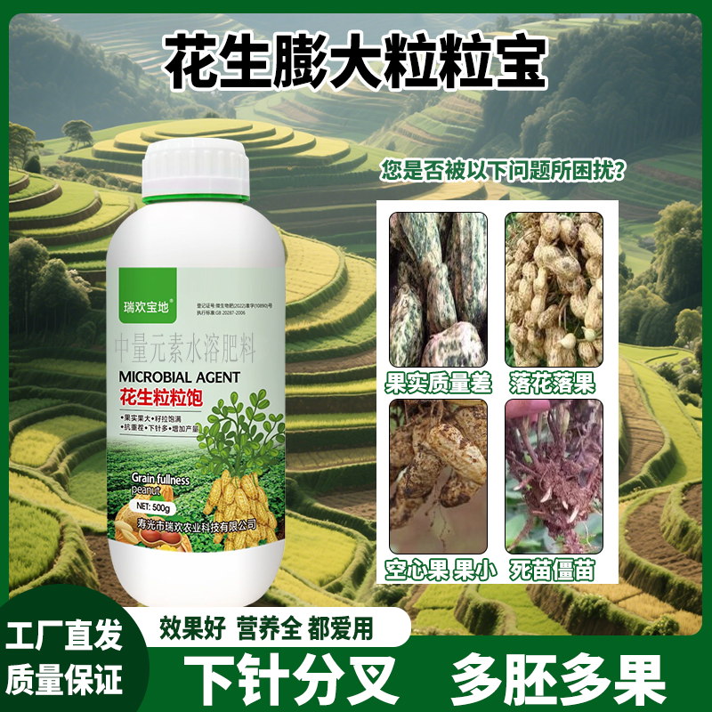 花生粒粒饱增产籽粒饱满抗倒伏用
