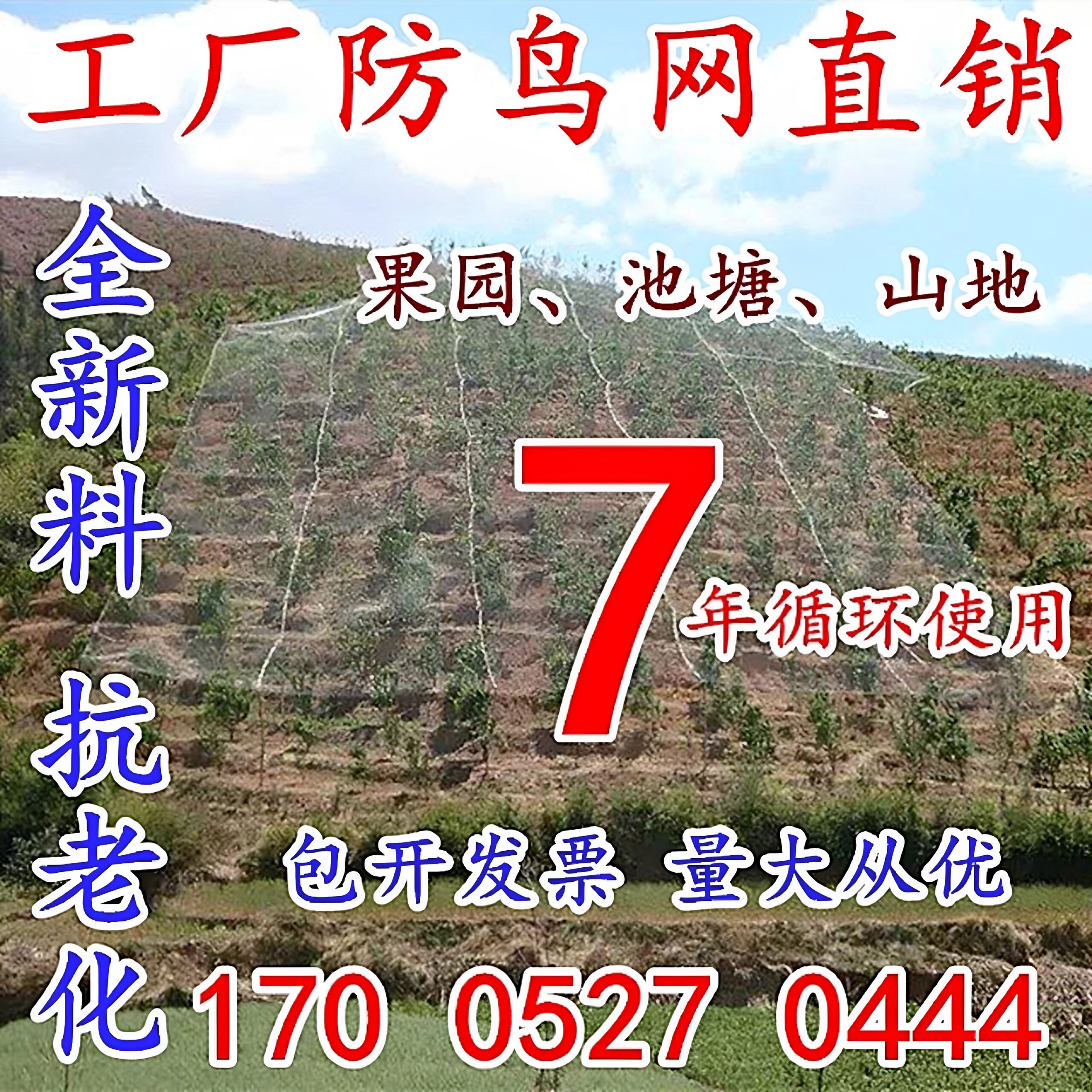 尼龙防鸟网大棚果树樱桃葡萄梨树蓝莓果园防鸟用网养殖场鱼塘天网