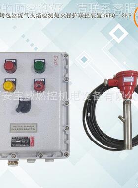 BW1BQ-KF合成BWBQ-1K氨转化装炉 火检测熄火焰联控保护报警装置的