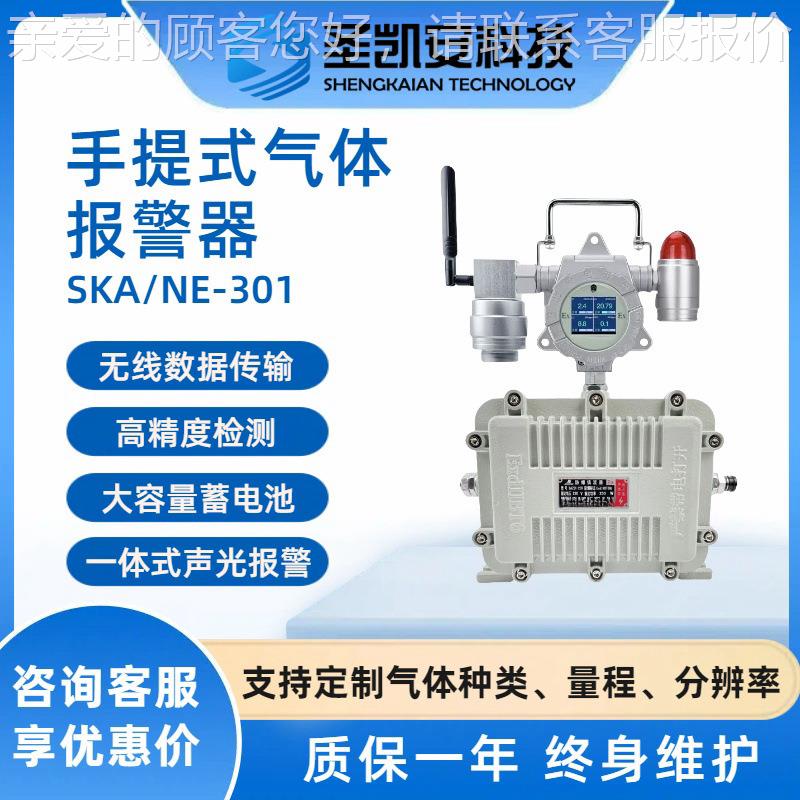 四合一丁便烯丁酸二二硫碳化二氧化氮二SKA/NE-3氧化硫气体检测仪