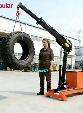 现货hoular好拉YLD01YLE01全电动单臂吊自动吊钩搬运独臂自动吊机