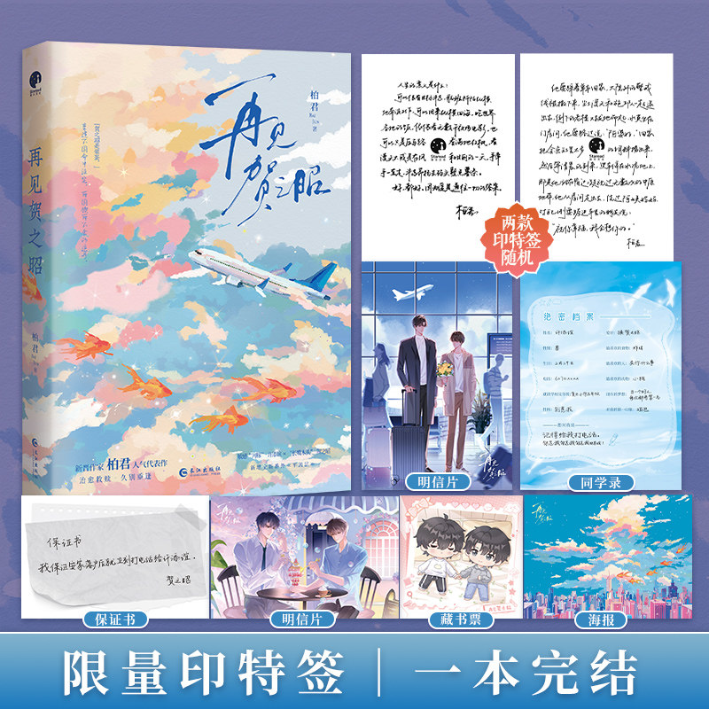 再见贺之昭印特签当代青春文学纯爱BL小说双男主都市言情长篇小说久别重逢破镜重圆天降竹马双向救赎作者柏君成年人的酸甜爱情故事