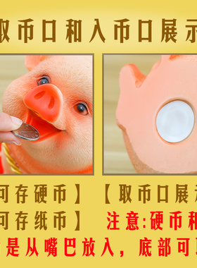 卡通猪存钱罐儿童储钱罐女创意生日礼物男孩零钱T罐客厅招财猪摆