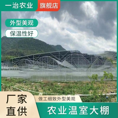 农业林木温室大棚简易薄膜外遮阳种植大棚蔬菜花卉种植栽培连体棚