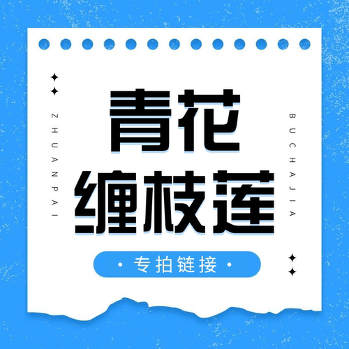 直播专拍链接青花缠枝莲系列