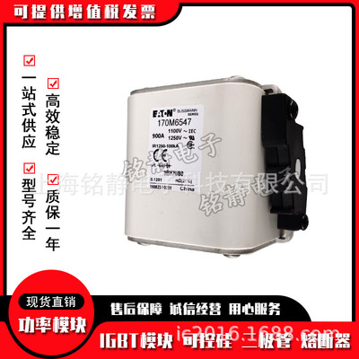 保险丝熔断器170M6500 170M6501 170M6644 170M6645 170M6646