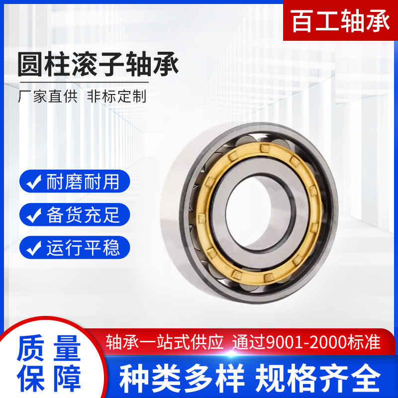 圆柱滚子轴承N220EM NU221EM NJ221EM NJ222EM摆线减速机偏心轴承