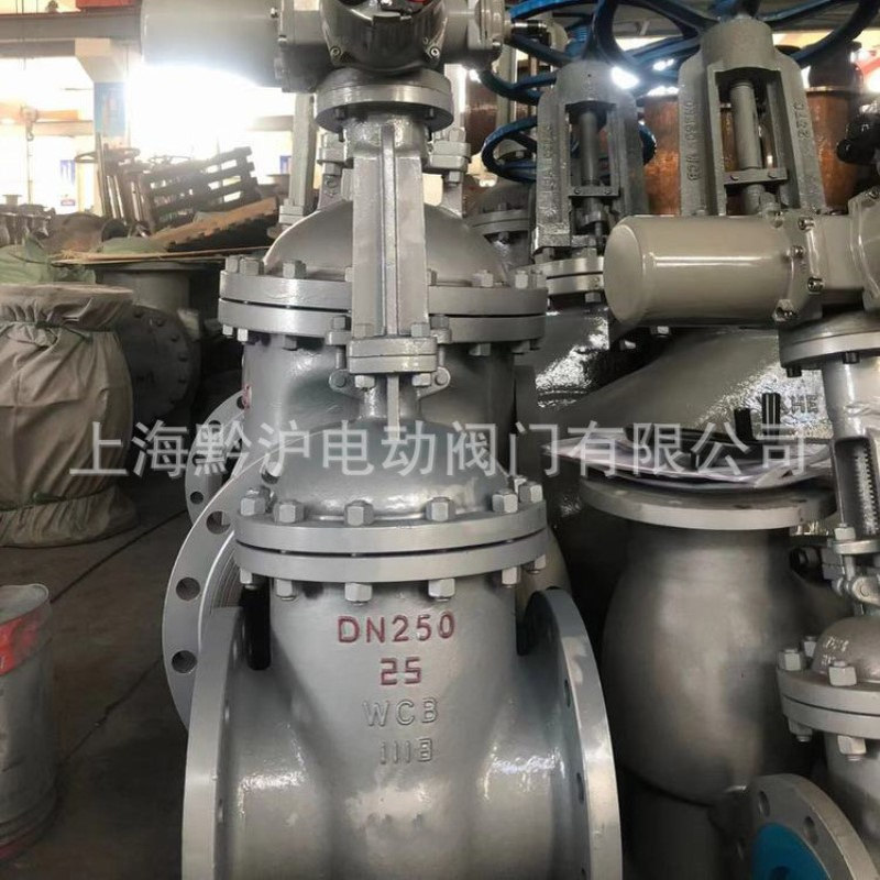 Z941H-25C DN250型法兰连接电动闸阀 自来水管道用电动法兰闸阀