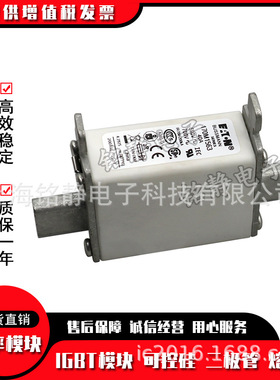 170M1568D 170M1569D 170M1570D 170M1571D 170M1572D巴斯曼熔丝