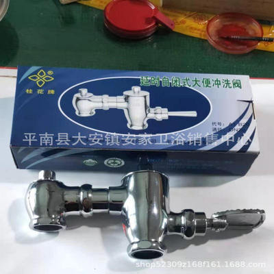 广西平南器材水暖厂桂花牌A1B20-1A1B19-1卧式脚踏延时大便冲洗阀