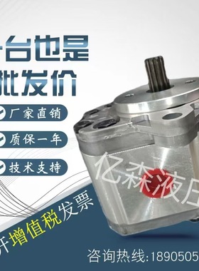 HESPER赫思博齿轮泵HA1-F-3.2/1/1.2/1.7/2.0/2.6-1199-C液压油泵