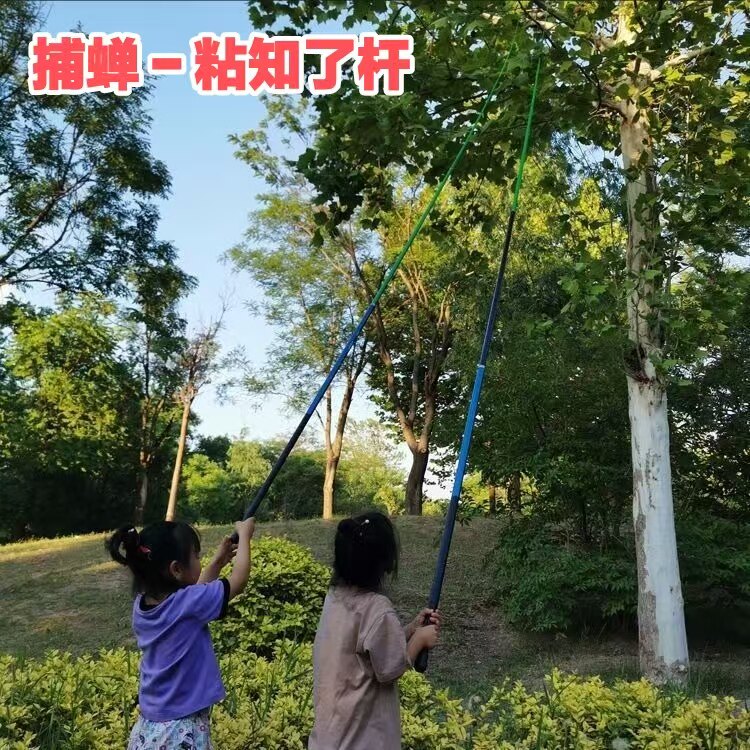 粘知瞭杆伸缩捕蝉杆知瞭猴竿捉抓知瞭工具粘蝉竿81013米捕蝉神器