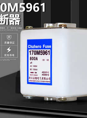 170M5960 170M5930 700A 170M5961 170M5931 800A快速熔断器1000V