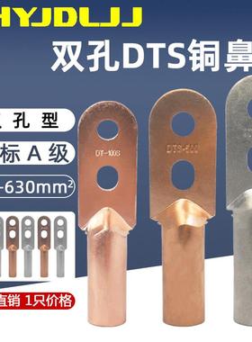 双孔铜鼻子DTS-400/500/630平方国标A级镀锡紫铜接线端子电缆接头