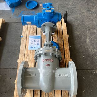 RS485分体式 矿用隔爆电动闸阀DN150PN10.0MPa 150 100C MZ941H