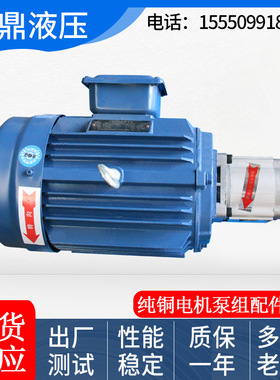 液压站系统专用电机马达油泵组立卧式纯铜电机油泵