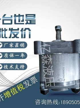 HESPER赫思博齿轮泵HA1-F-3.2/1/1.2/1.7/2.0/2.6-1199-C液压油泵