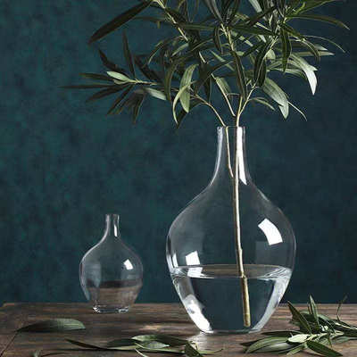 盈磊网红特大号透明大肚小口玻璃花瓶吊钟麻醉木花器现代简略风格