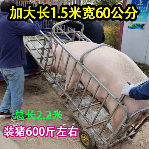 加大长1.5米宽60公分装母
