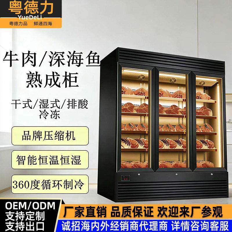 干式小型熟成牛肉柜湿式深海鱼排酸柜冷冻冷藏保鲜生鲜牛排挂肉展
