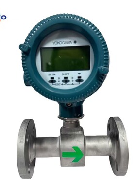 YOKOGAWA横河DN25法兰AXF080G-D1AL1N-BD21-41BB电磁流量计