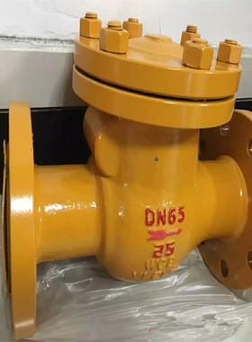 H41F-10C氨用止回阀 升降式氨用止回阀 铸钢、不锈钢升降式止回阀