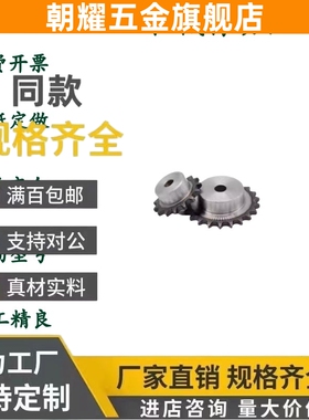 SP50B20/21-N-15/16/18/19/22/24/25/28/30/32/35/38/40/45 链轮