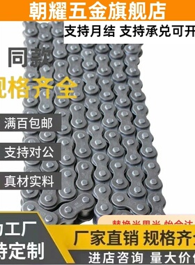 CHET40C-48/CHEL60/80/CHEL35/50/A/B-65/55链条CHES/C-CHEH96-U