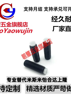 TDA06止动螺栓SBPP 10-12/16/20/25/30/40/50/60/80缓冲定位螺钉