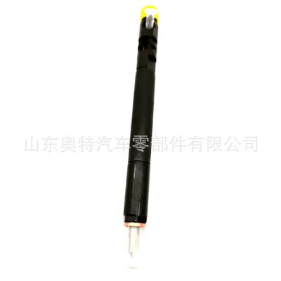 全新共轨喷油器   28232251  EJBR05101D 喷油器