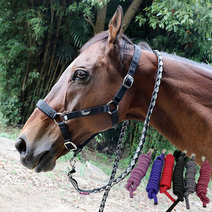 栓绳配套马具缰绳铜牵马绳编织马术用品转钩牵马绳全钩马笼头马术